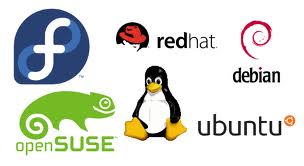 IT Support small business linux distros